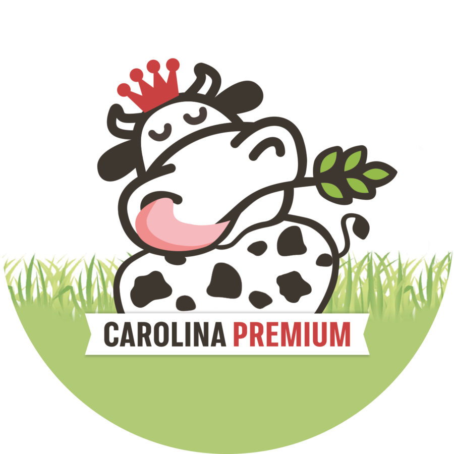 logo_carolina_premium_E230320_RGB.png