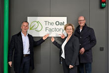 frischli Bild Pressemeldung The Cat Factory 2024-12