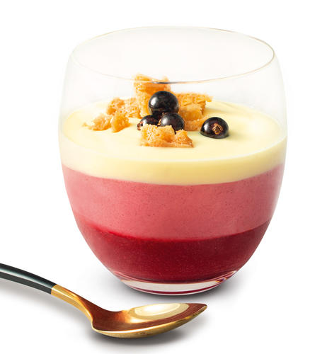 Rezeptbild Johannisbeer-Quarkschaum