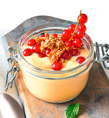 Organic Sins – Bio Milchpudding Vanille mit Johannisbeeren & Sesamkrokant
